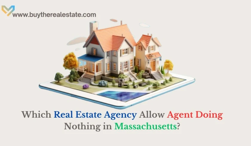 Which Real Estate Agency Allow Agent Doing Nothing in Massachusetts?